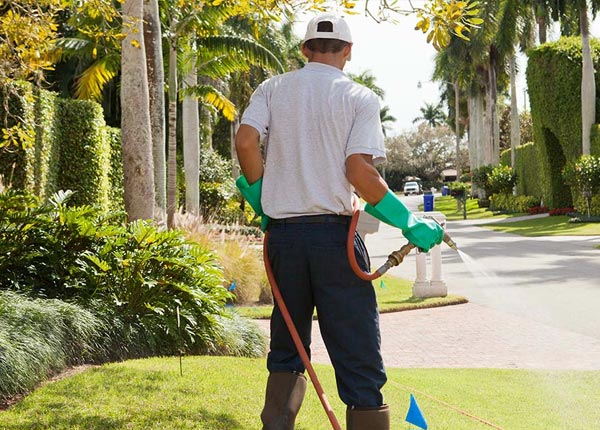 About Wicomico VA Pest Control